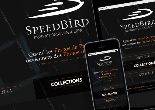 Site de SpeedBird Productions & Consulting